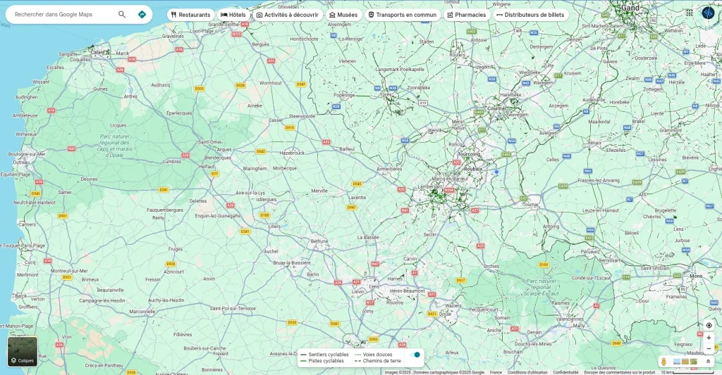 carte Google Maps résultats locaux